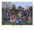 Reeds rugby team commissioned painting by christina pierce, cricket artist