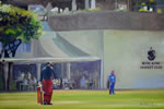 Spectators - oil on canvas 24 x 36 by christina pierce, cricket artist