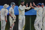 Wicket - oil on canvas 16 x 24 by christina pierce, cricket artist