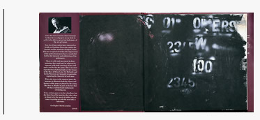 The Art of Cricket Yearbook and desk diary inside covers