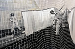 Winter Training - painting by christina pierce, cricket artist