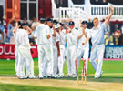 ashes 2009 painting by christina pierce, cricket artist