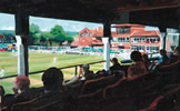 old stand - christina pierce, cricket artist