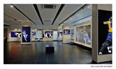 tao gallery exhibition of paintings by christina pierce, cricket artist