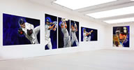 tao gallery exhibition of paintings by christina pierce, cricket artist