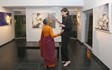 the tao gallery exhibition of paintings by christina pierce, cricket artist